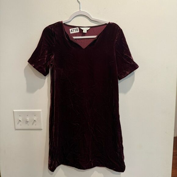 Sundance Womens Plum Olivia A Line Dress XS Velvet V Neck Pullover Short Sleeve - Picture 3 of 6